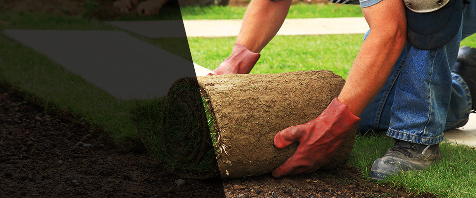 Hainesport Landscapers